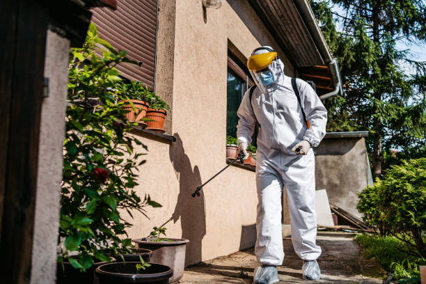 Best Best Pest Control Companies  in Valley Stream, NY
