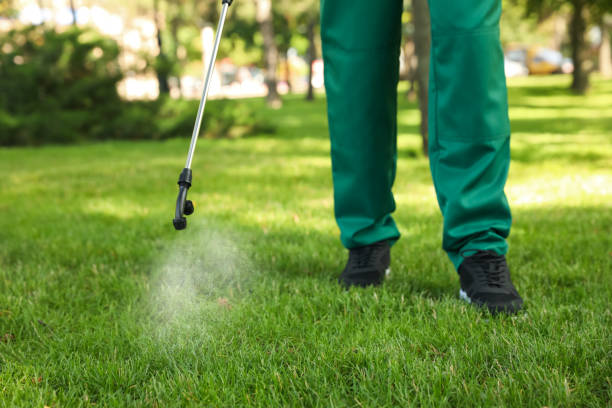 Reliable Valley Stream, NY Pest Control Solutions