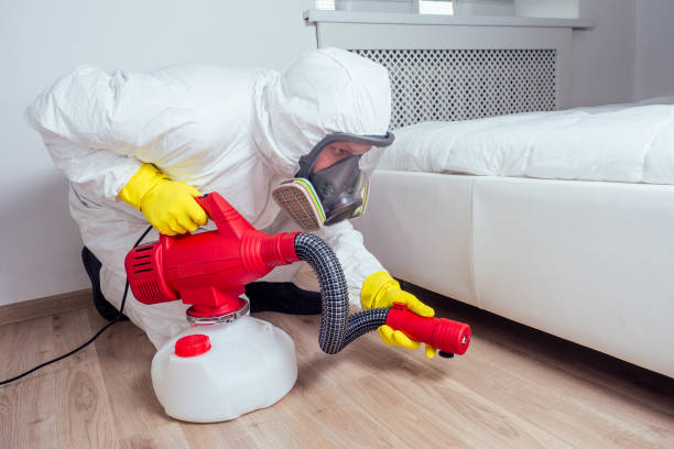 Best Bed Bug Extermination  in Valley Stream, NY