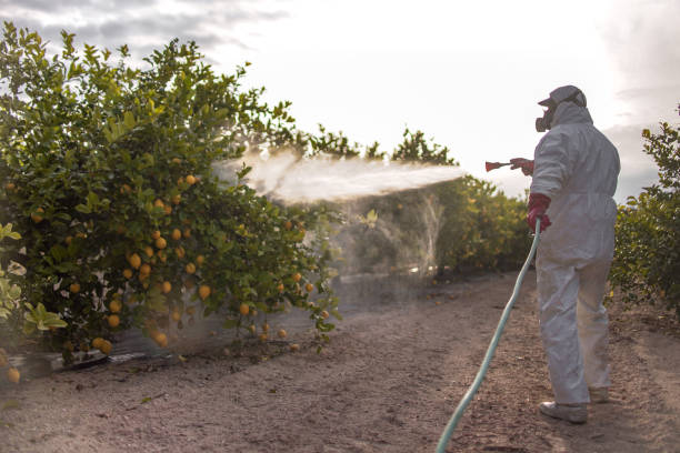 Pest Control for Restaurants in Valley Stream, NY