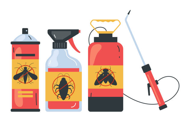 Flea Control Services in Valley Stream, NY